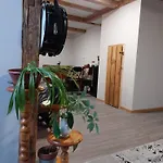 Arin * 亚希莫夫