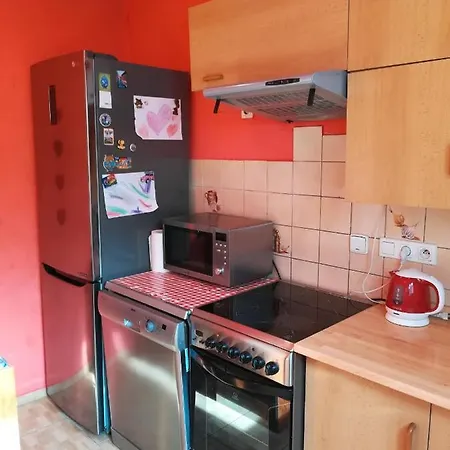 Apartment Arin Jáchymov